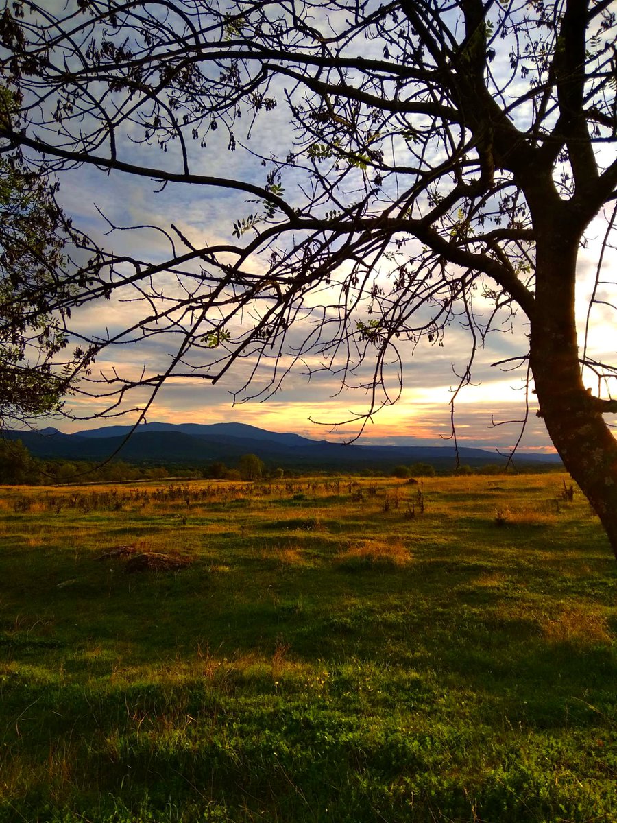 ...

No me hallarás en la deslealtad. Sé con los que combato a diario.
Aún guardo las armas sin afilar, a sabiendas que sacarlas, no será necesario.
Y es que, mucho antes de lo que piensas...

...hemos luchado y hemos muerto. 
Pero siempre de la mano.