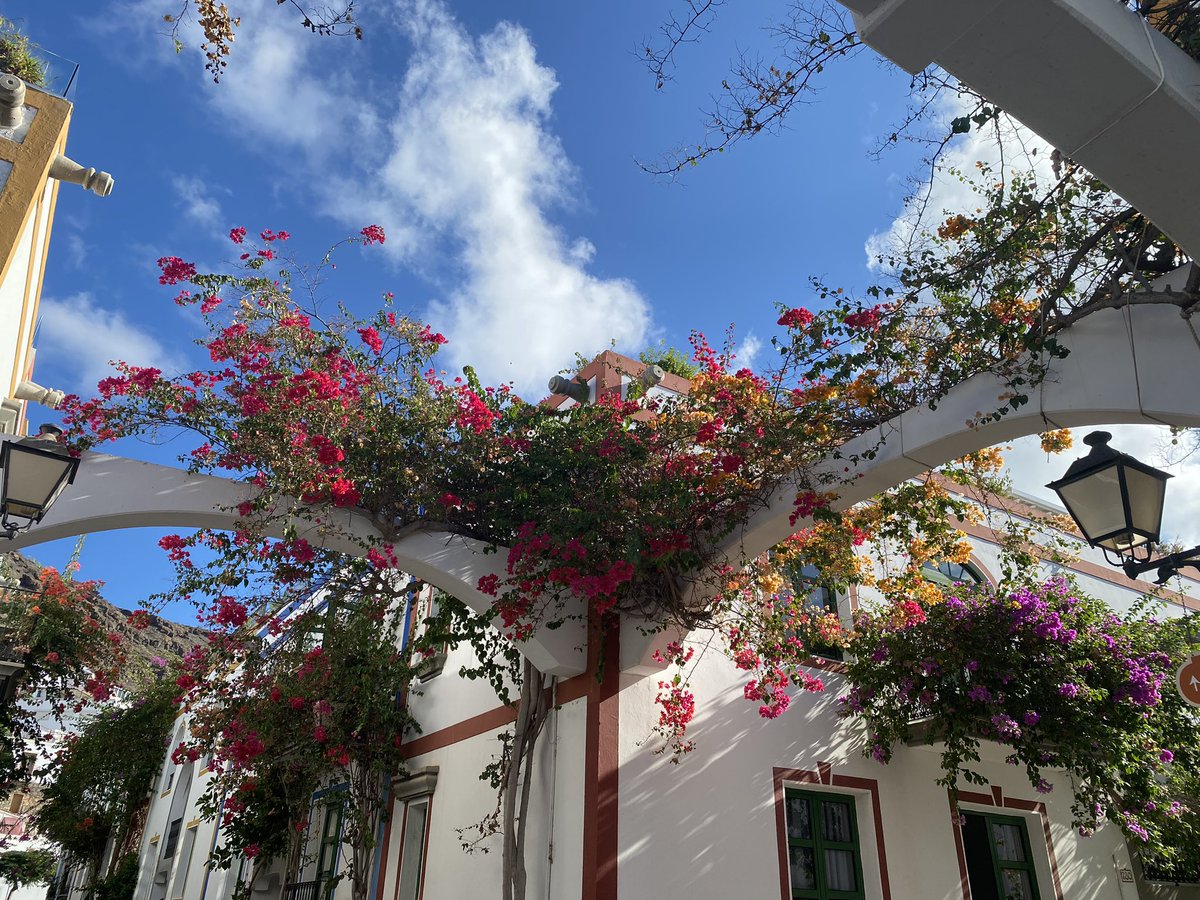 A little hello from me &amp; Gran Canaria - after quite a hiatus. Sorry for not interacting, I wasn’t in a good state mentally &amp; needed some time off from social media &amp; the world

😘🤗