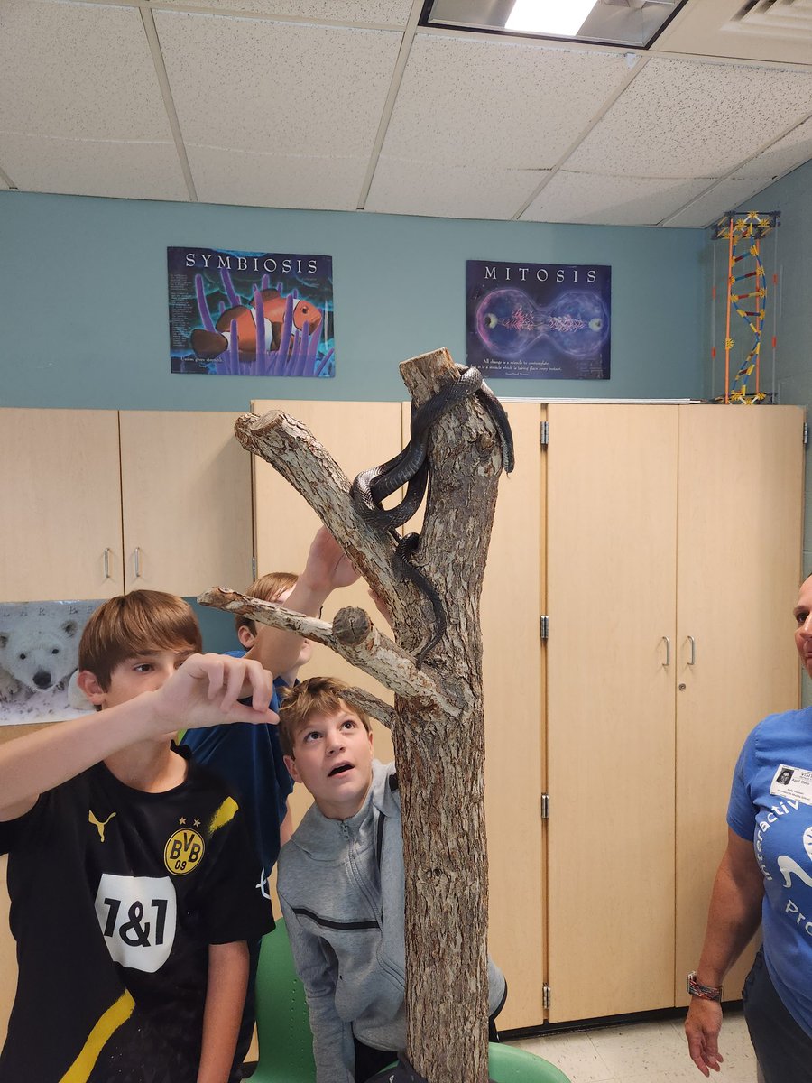 Mike Hall, Ed.D (@mhall_ams) on Twitter photo Such an engaging day in <a href="/AvonworthKH/">Mrs. Kelly Hansen</a> class today! Everytime you turn around, another interesting PA creature to learn about! <a href="/Avonworthschool/">Avonworth District</a> <a href="/KRemenskyASD/">Kaitlin Remensky, Ed.D.</a> Such an engaging day in <a href="/AvonworthKH/">Mrs. Kelly Hansen</a> class today! Everytime you turn around, another interesting PA creature to learn about! <a href="/Avonworthschool/">Avonworth District</a> <a href="/KRemenskyASD/">Kaitlin Remensky, Ed.D.</a>