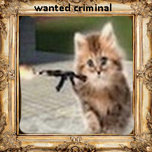 tabbert_is's tweet photo. have you seen this cat https://t.co/mLR7lyFqZq