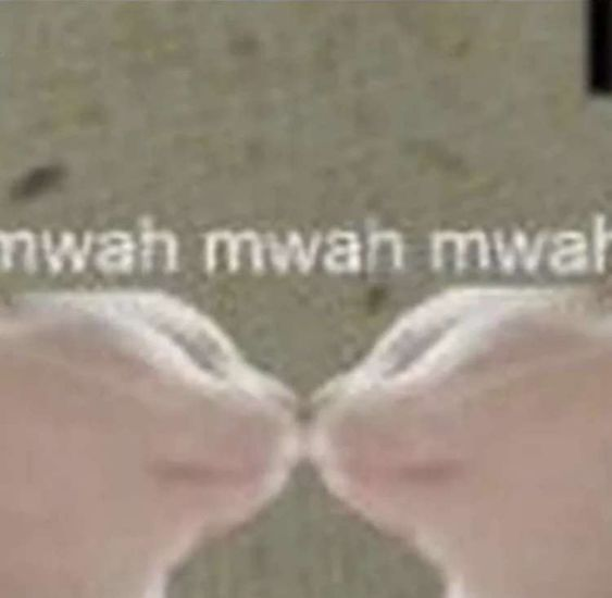 /ᐠ - ˕ -マ (@lovesickdoe) on Twitter photo 