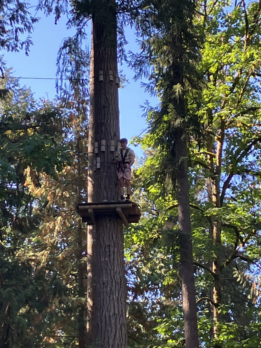 mrsharpess's tweet image. Leadership students from @PittSecondary take to the trees; stepping out of their comfort area and taking risks - this group is awesome! @sd42news