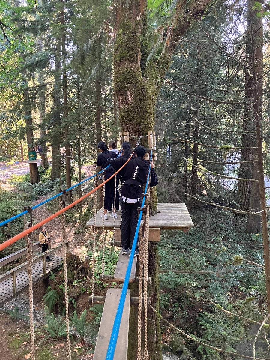 mrsharpess's tweet image. Leadership students from @PittSecondary take to the trees; stepping out of their comfort area and taking risks - this group is awesome! @sd42news