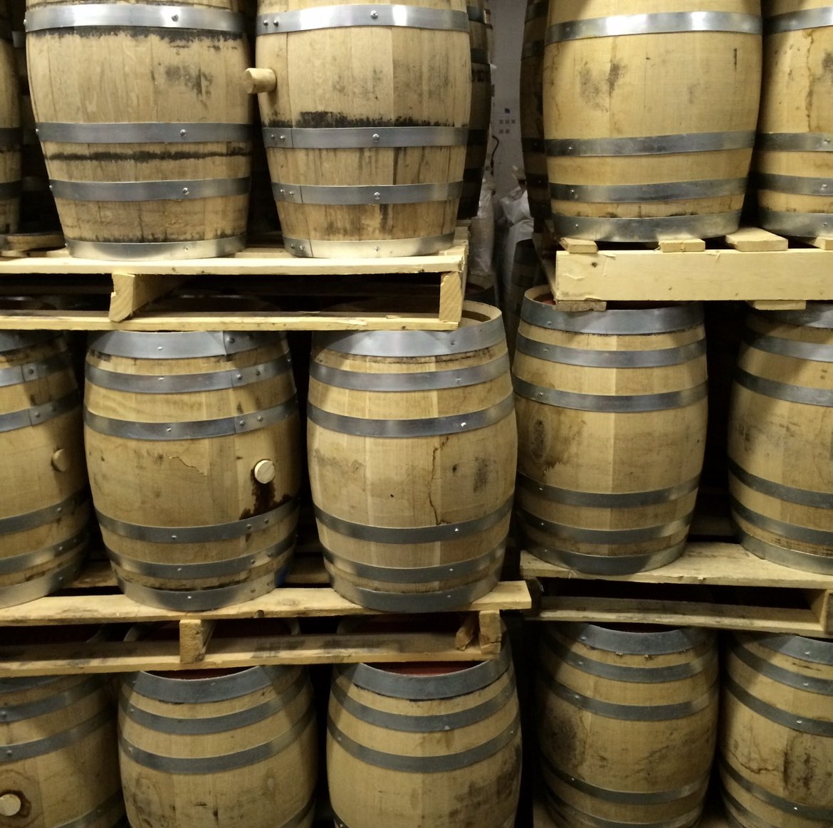 imagine you are Donkey Kong trying to stay chill on a first date but your date chose a tour of a distillery