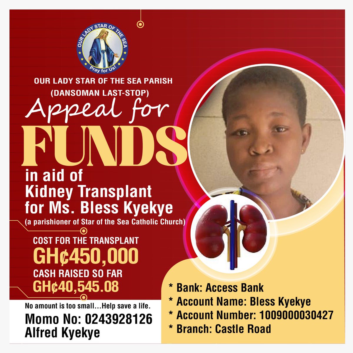 Kindly help Bless to receive kidney transplant. God bless you 
gofund.me/b949a9c