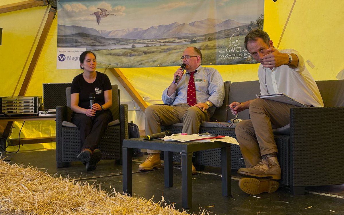 blackgull's tweet photo. great inclusive session with wildlife trust’s beaver project, fieldsports and the audience at the Welsh Game Fair on what works/doesn’t work for conservation collaboratives https://t.co/QGRJJqv3G1