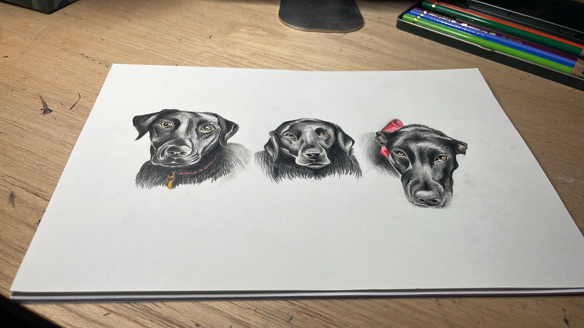 ACD_esigns's tweet photo. Beginning to End 🐶#ArtistOnTwitter https://t.co/WFe3jtvIM1