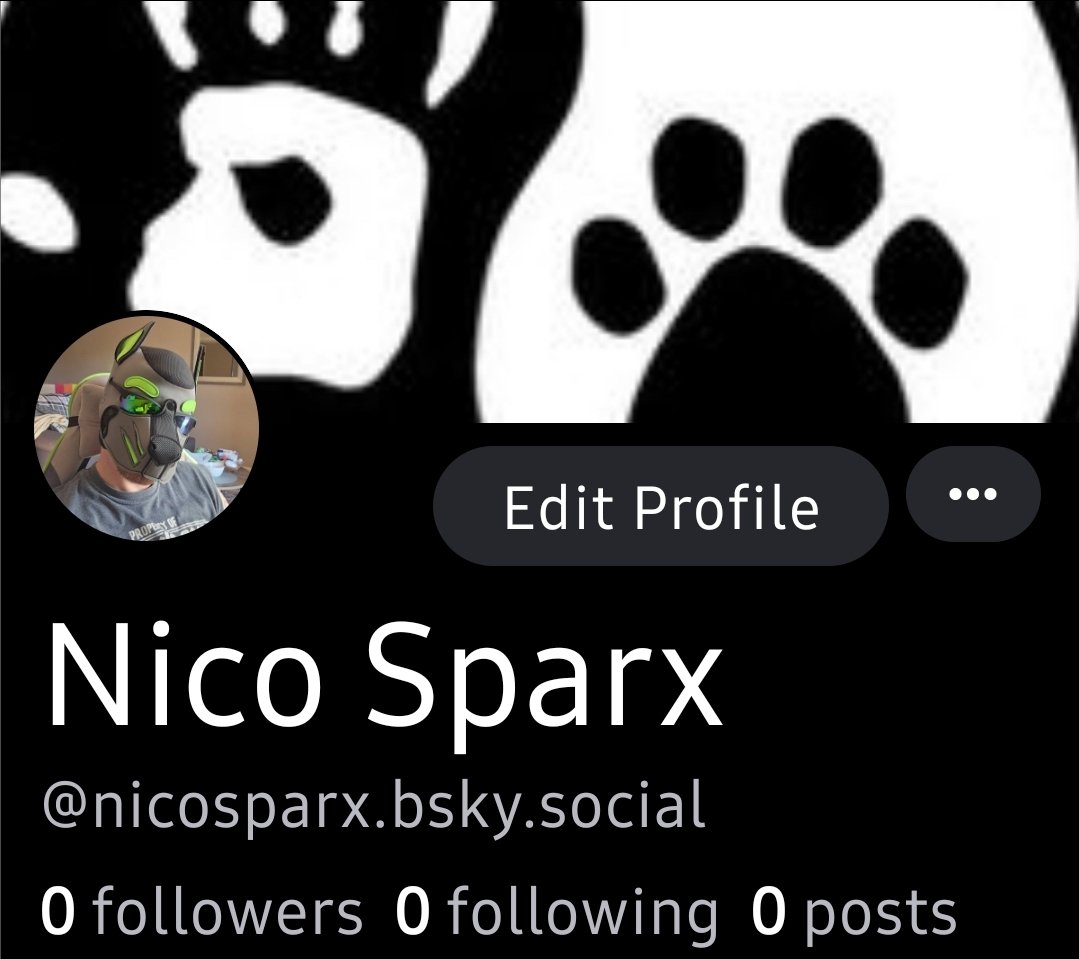 Nico Sparx (@Nico_Sparx) / Posts / X