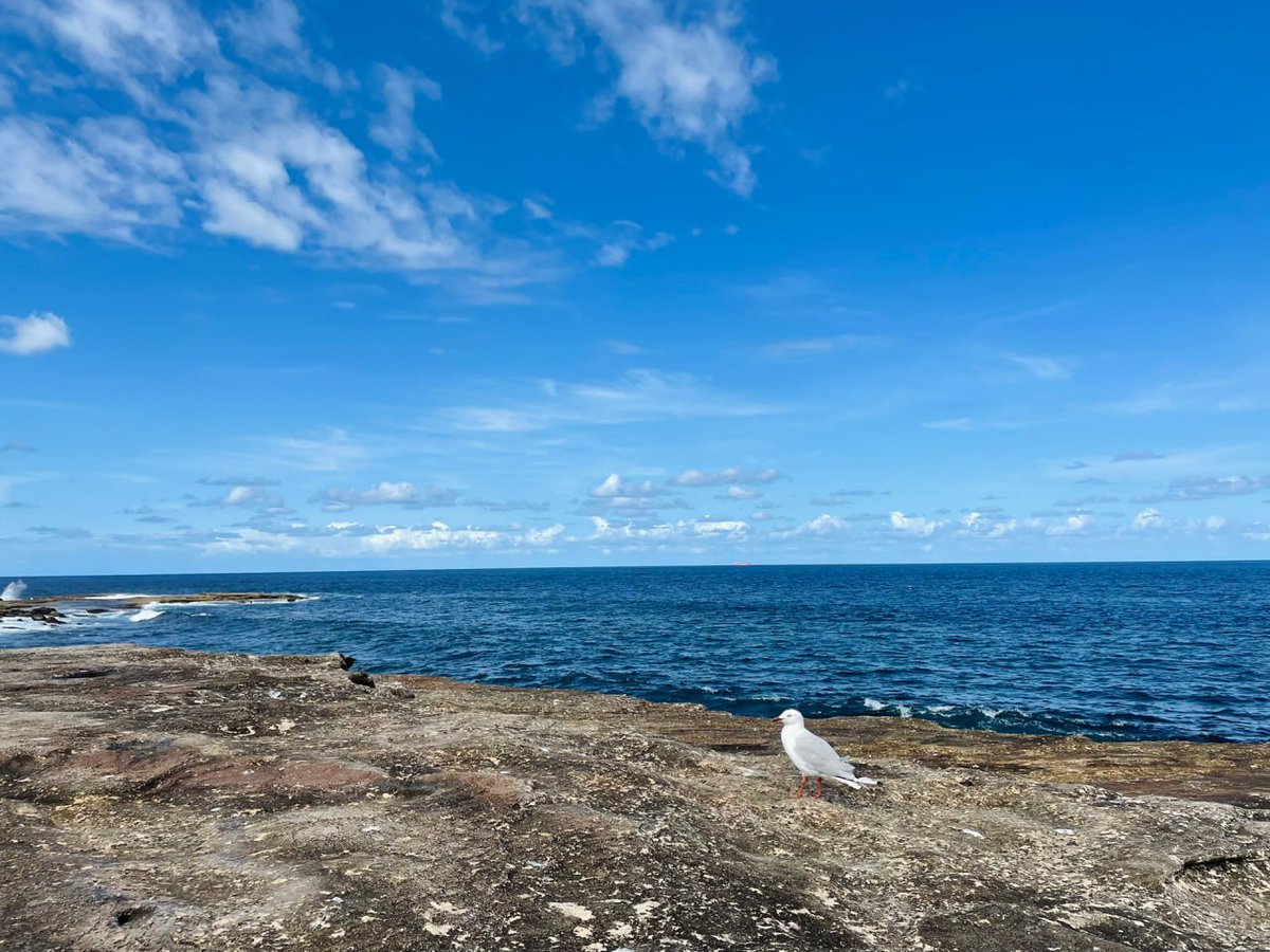 A superior heart need not be magnificent, but it must be strong.