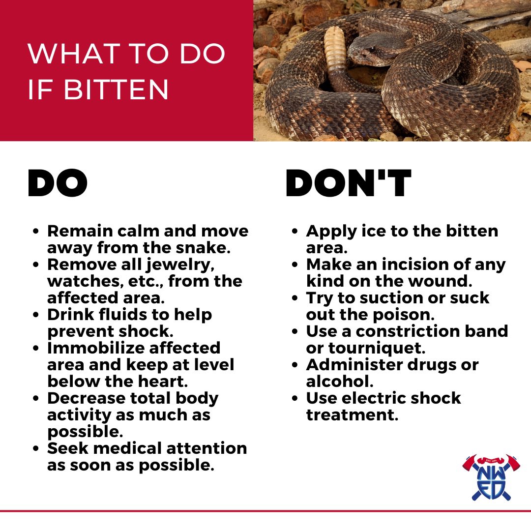 NorthwestFire's tweet photo. Arizona's peak snake season continues throughout this month and next! Make sure you know how to avoid snake bites, what to do if bitten, and when NWFD responds. 

#SnakeSafety #Arizona #NWFDAZ https://t.co/haGlUeeguW