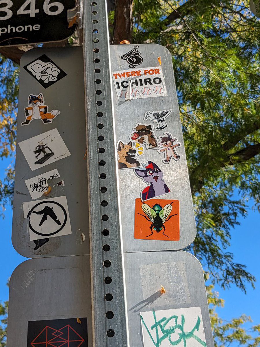 CapHill Street Art tweet media