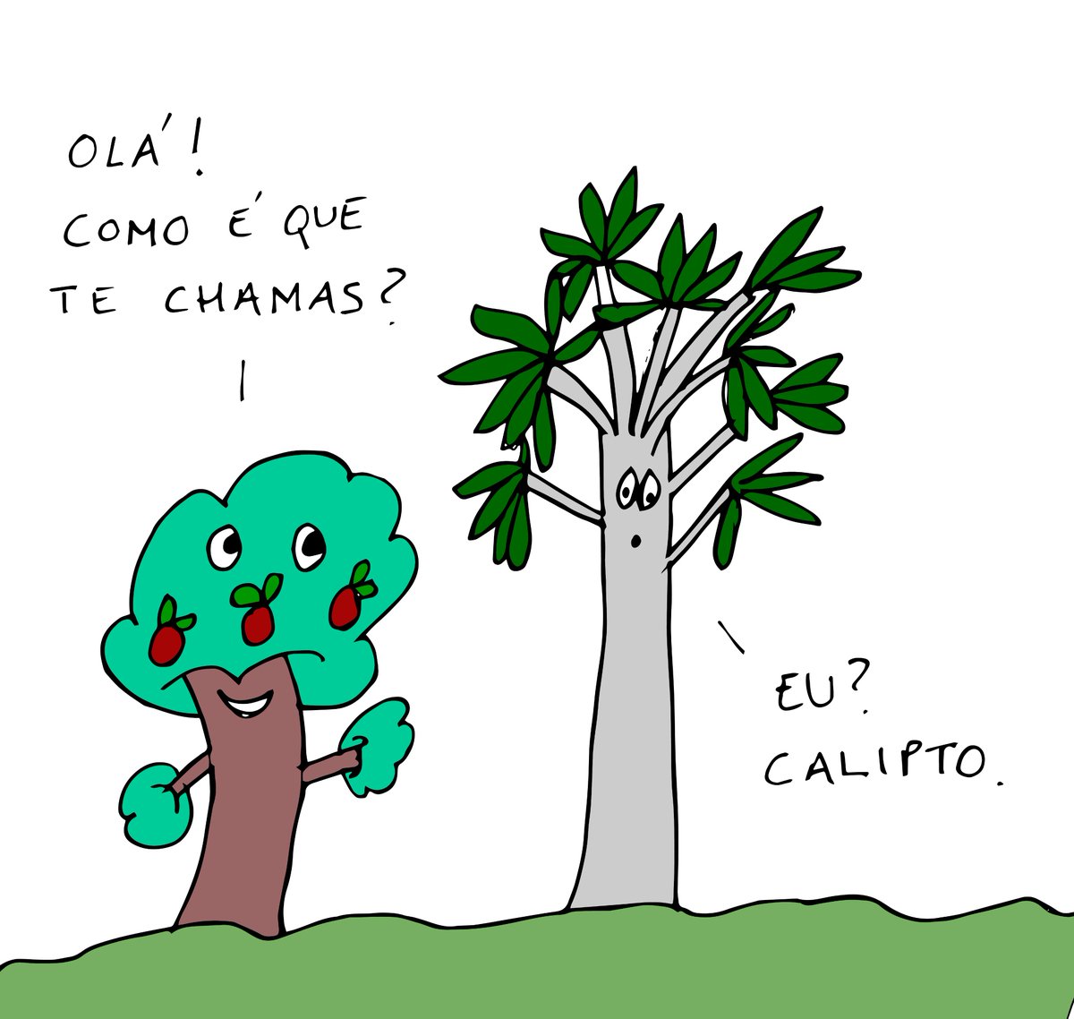Duas árvores.