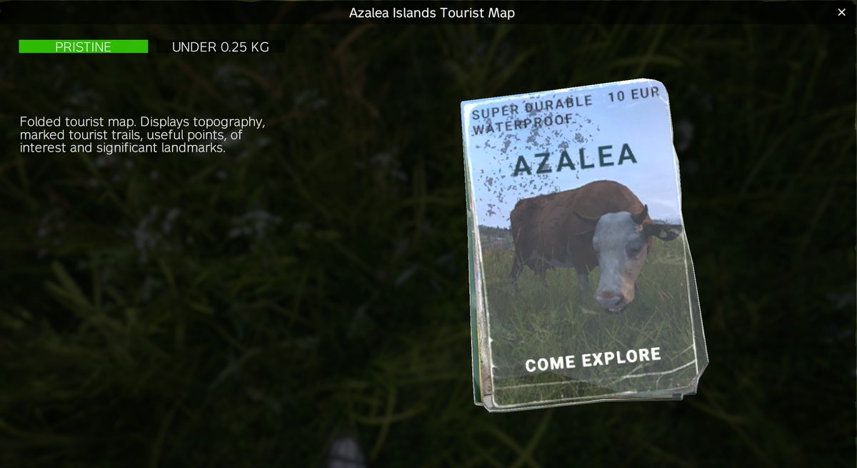 OLIPOLLYZ tweet media