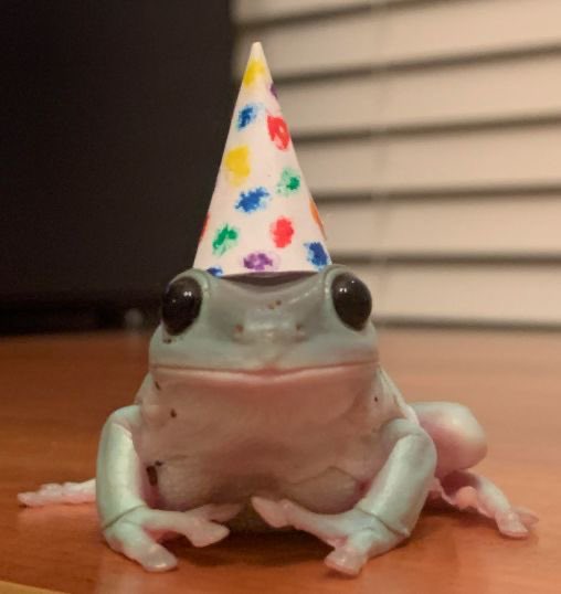 AsterrSMP's tweet photo. Bringing back the birthday tweets to wish @Kkaleaves a very happy birthday:) https://t.co/SsYUXSSJ44