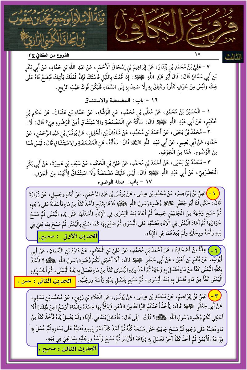 ابن النجف tweet media
