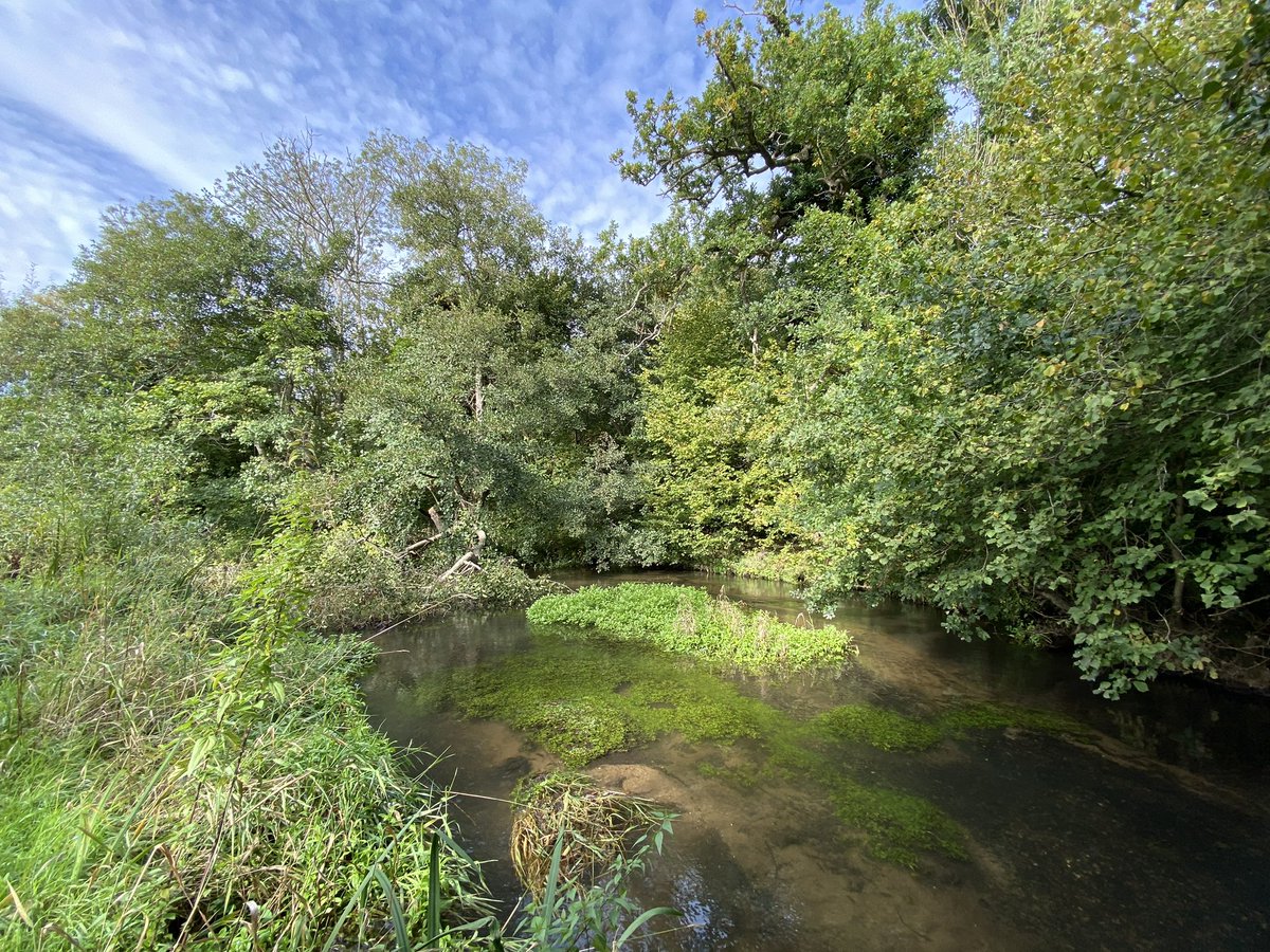 Tom Sayer tweet media