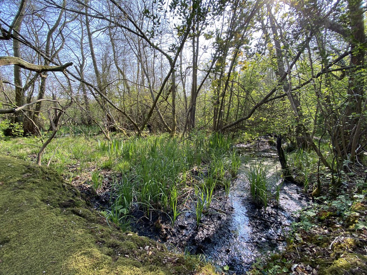 Tom Sayer tweet media