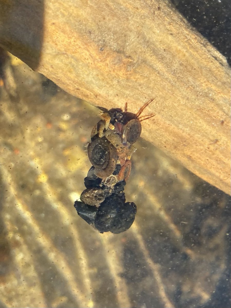 Tom Sayer tweet media