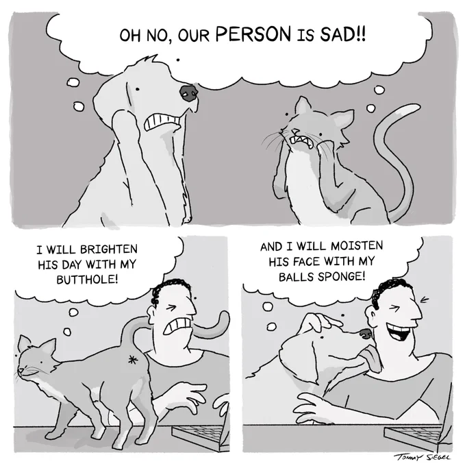 pets make everything better 