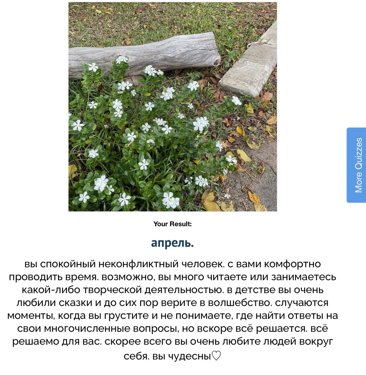 Si_as_silicio's tweet photo. Необыкновенно отвратительный кот напуган проявлением симпатии https://t.co/JhW50ImAZW