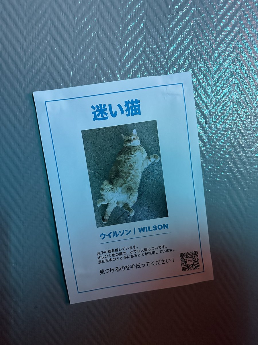 Heretics Abby 🎀⋆ ˚｡⋆୨୧˚ tweet media