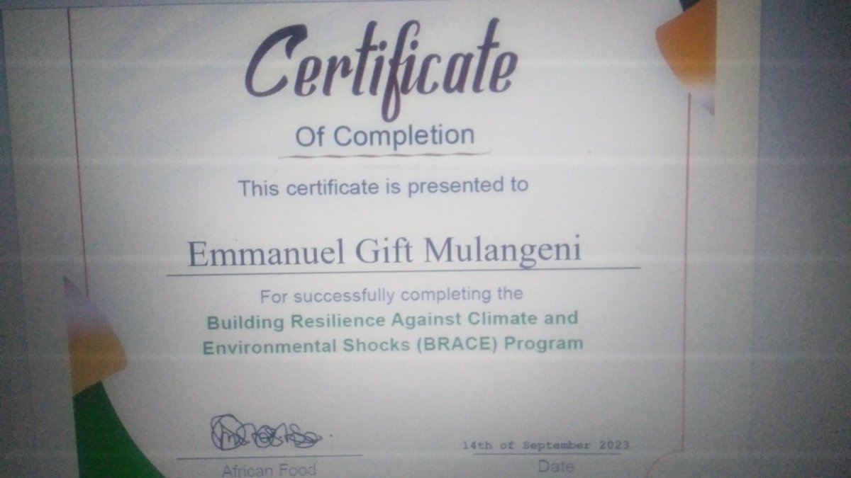 Inkosi Emmanuel Gift Mlauzi Mulangeni Xholanqa tweet media