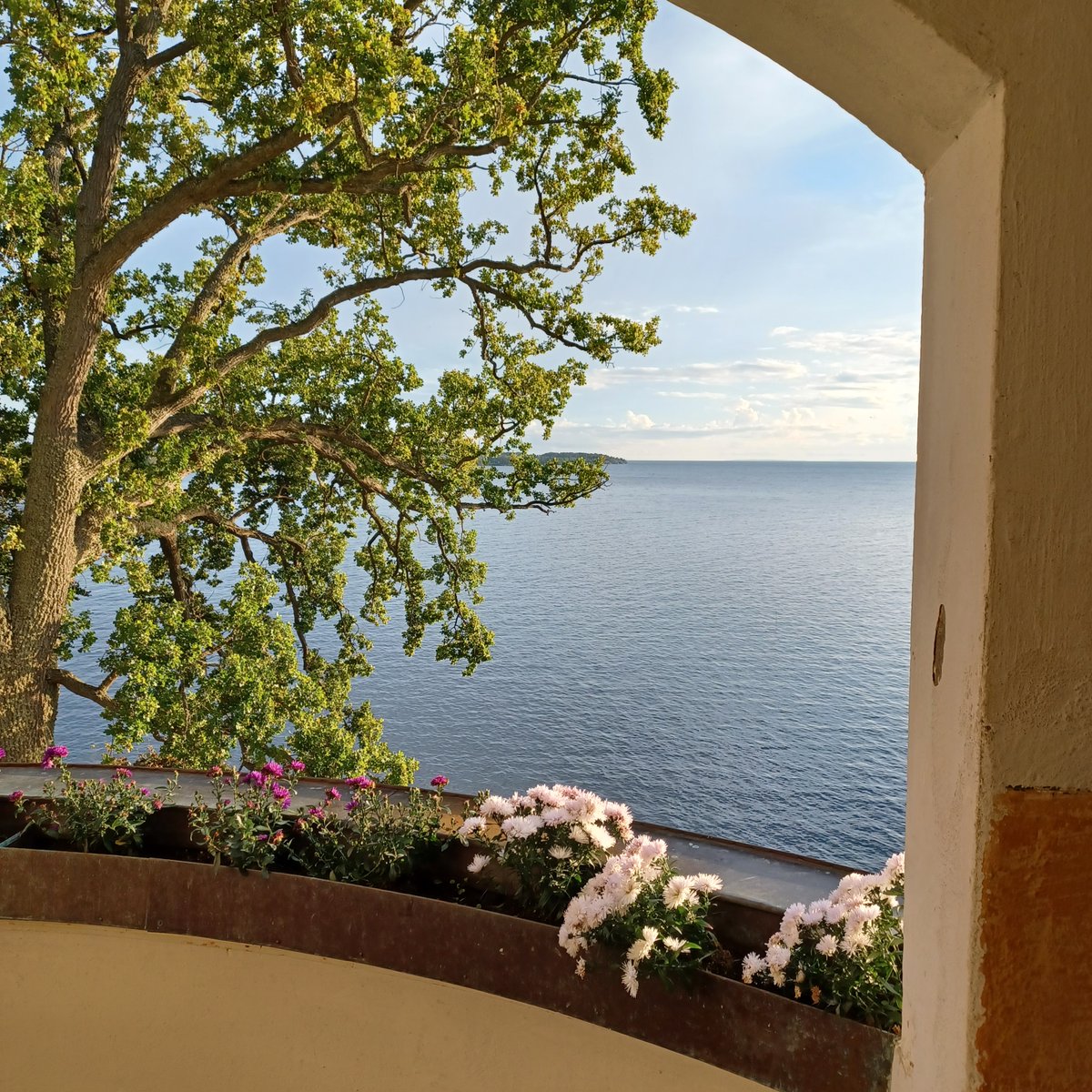 This is my working environment for two weeks. Yes, I'm envious of myself (and so, so grateful!). #postdoclife #ellenkey #strand #stipendiat2023 #residency