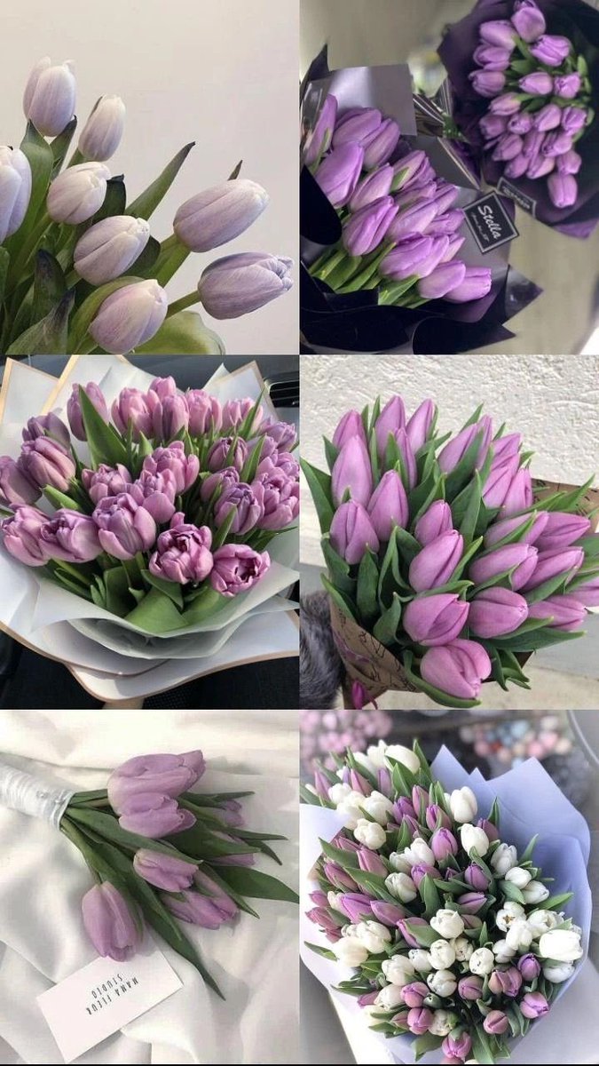Butterflless's tweet photo. 💜 Purple 💜 https://t.co/VJ3WltZq29