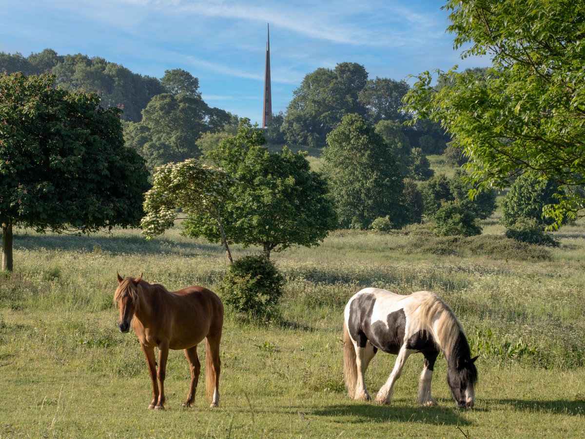 Andrew Scott Photography tweet media