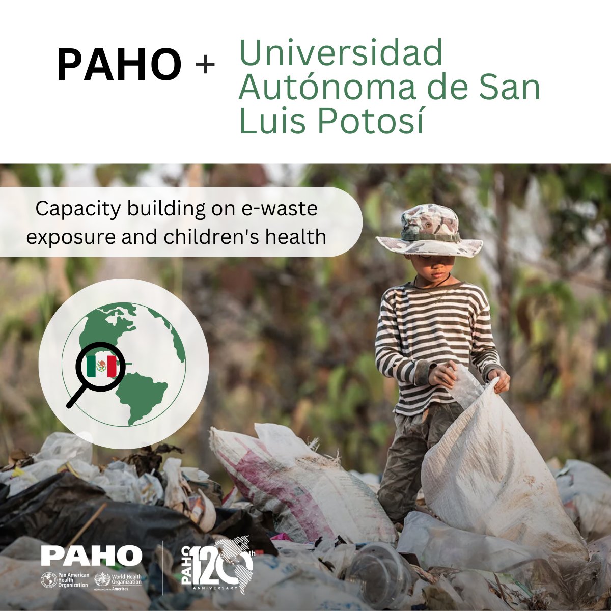 pahowho's tweet photo. The #CollaboratingCenter for Health Risk Assessment and Children's Environmental Health supported PAHO in developing a course on health risk assessment, e-waste exposure and children's health 👧🏽 in digital waste dumps.
Access the course: https://t.co/B0Xkfb1vOs https://t.co/EZn0vLKC3r