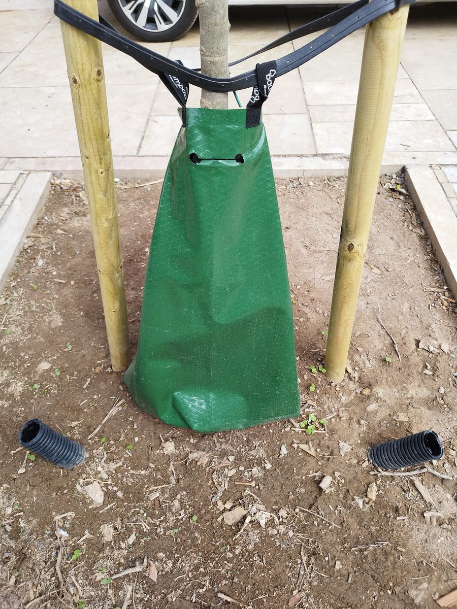 GRUPO RAGA tweet media