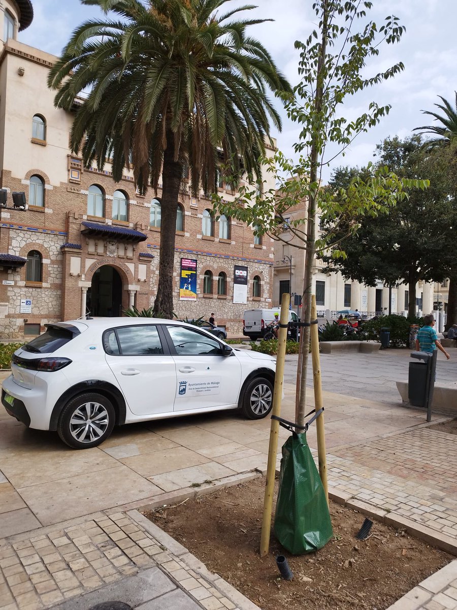 GRUPO RAGA tweet media