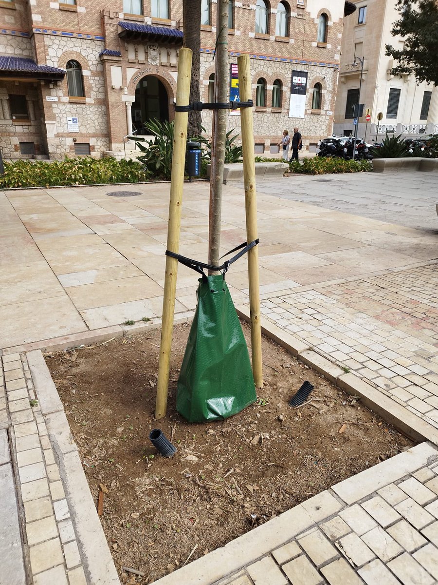 GRUPO RAGA tweet media