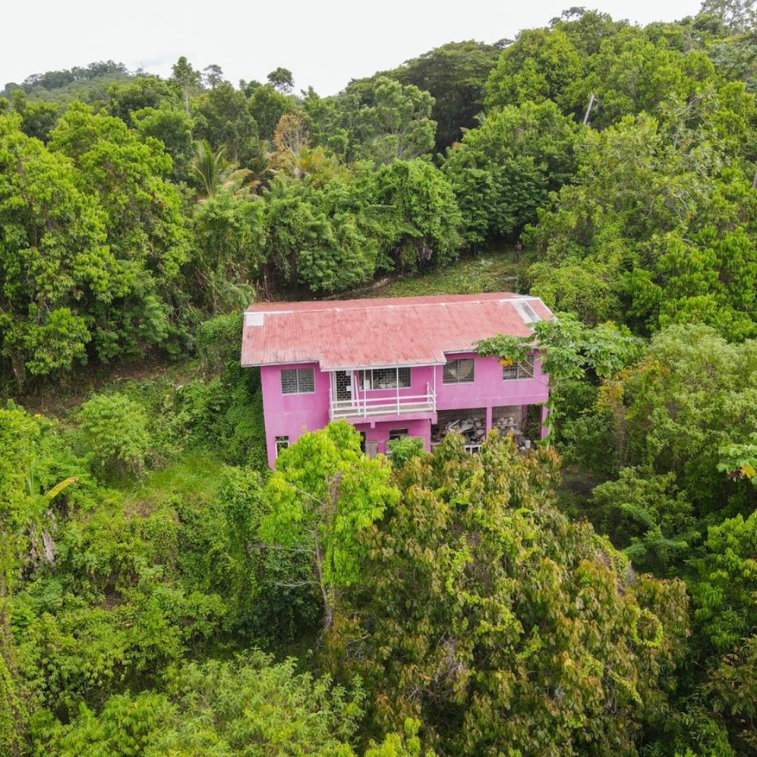 C21HeaveHo's tweet photo. 🚨Investment Alert – Land for SALE
 
 𝗔𝗱𝗱𝗿𝗲𝘀𝘀: Hope Bay, Portland
𝗣𝗿𝗶𝗰𝗲: JA$50M

Invest today in 59.34 acres of Paradise in Hope Bay, Portland. 

Please contact:
 Shawna-Lee Gordon
 📲 876 567-4310

 #land #resorttown #investmentopportunity #c21jam #century21 https://t.co/GQUSZ7AfKk