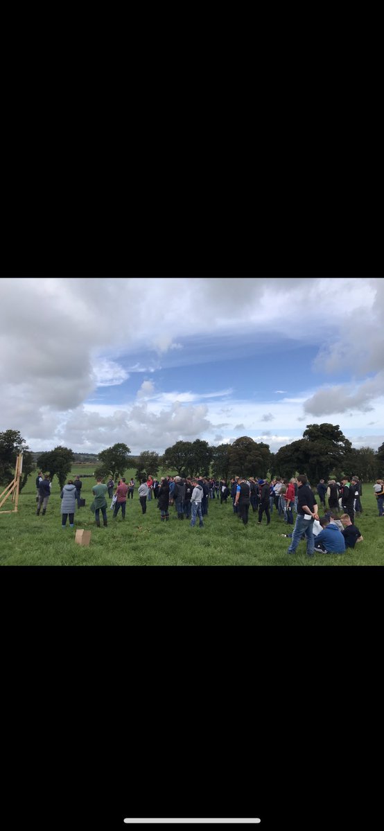 Diarmaid Fitzgerald tweet media