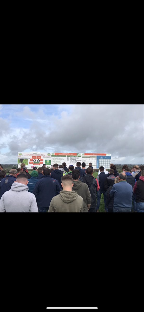 Diarmaid Fitzgerald tweet media