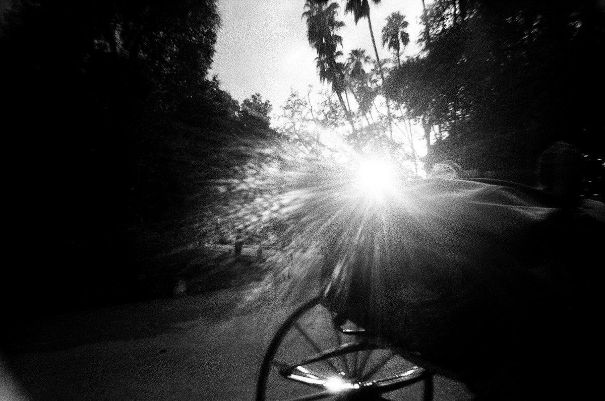 paulaolma's tweet photo. on film https://t.co/aAFKMR8txT