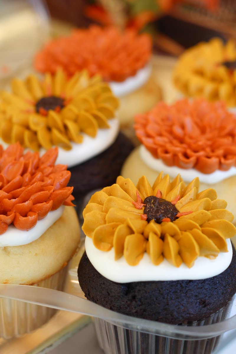 pastries51's tweet photo. NEW: Fall Flower 6-packs are available in-store now 🌼

STORE HOURS: 
8 AM to 5 PM Monday- Saturday
Closed Sundays

#fallitems #fallcupcakes #flowercupcakes https://t.co/D19d5DDe2s