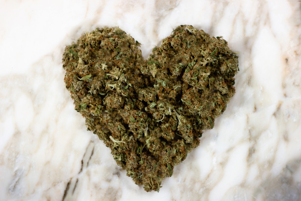 hightideorg's tweet photo. High Tide, always by your side 💚 #cannabis #cannabiscommunity #marijuana #marijuanalovers #freedelivery #losangeles https://t.co/mevLWzyn6v