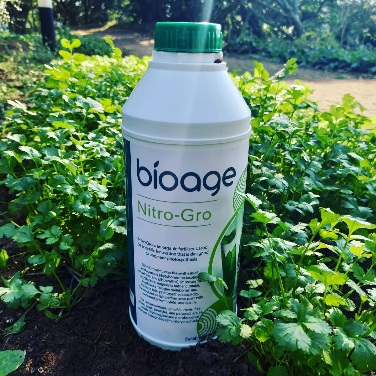 TholeCalibrate's tweet photo. #BioAgeFarmingTodayForTomorrow https://t.co/p4WowSeQrH