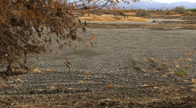 USDA_NRCS's tweet photo. Healthy soil retains water and resists drought. https://t.co/kfkXvMbDgI #soilhealth https://t.co/FNvNxSCixR