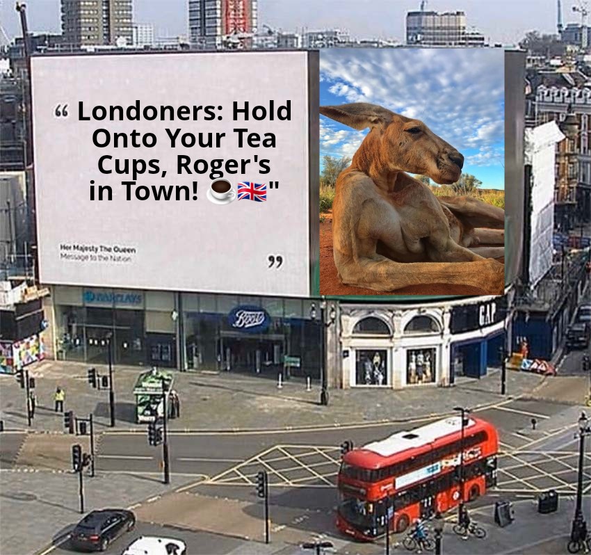 ROGER TOKEN tweet media