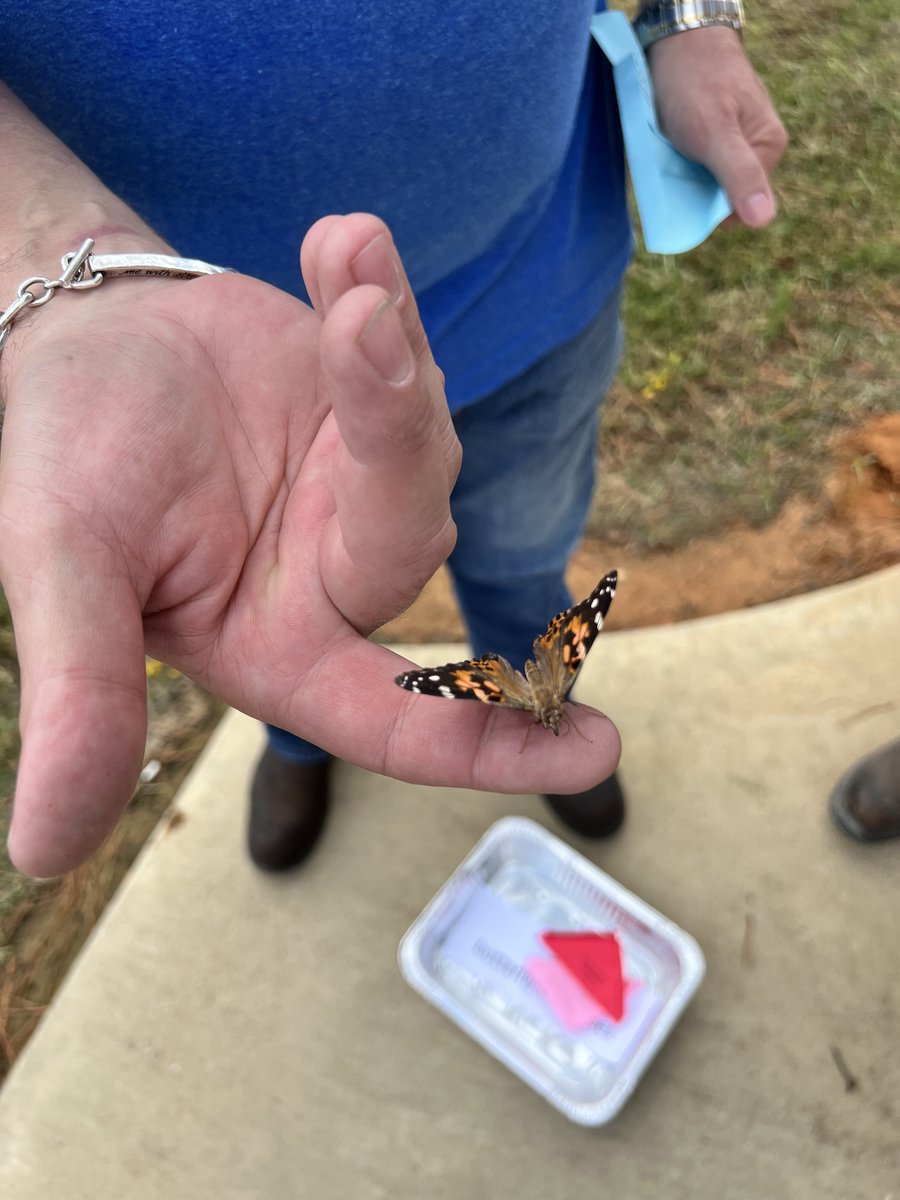 FIRE TRUCKS and BUTTERFLIES and WILDFLOWERS --- OH MY!
Sow A Seed Sunday @ The Green - coming October 22!
<a href="/LongviewFire/">Longview Fire Department</a>