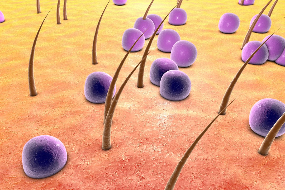 Find out how you can reduce infection risk for your ED patients at the #EN23  roundtable discussion “An End-to-End Approach to Infection Control for Ultrasound-Guided Percutaneous Procedures.” Preconference session on 9/21 at 12:30 pm. bit.ly/45R5ra6