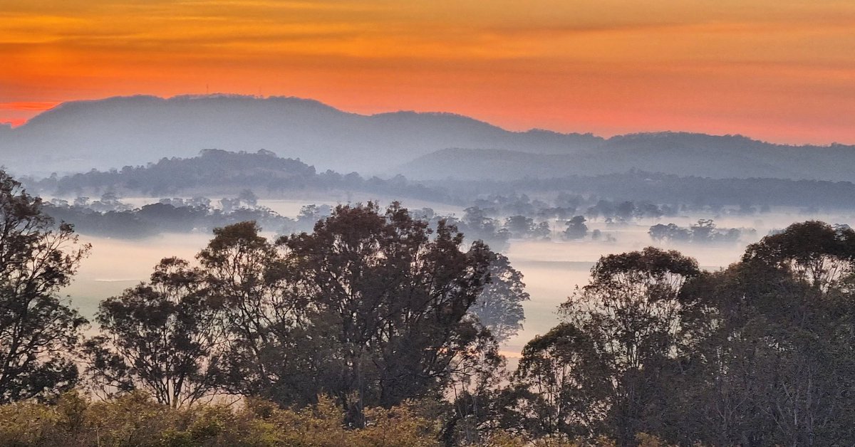 David Williams tweet media