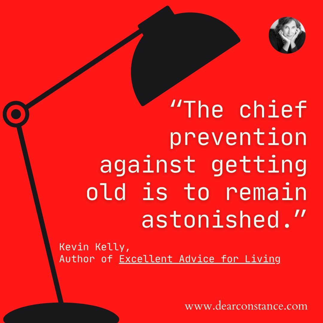 DearConstance22's tweet image. “The chief prevention against getting old is to remain astonished.”  - Kevin Kelly

#dearconstance #favoritequotes #kevinkelly #remainastonished