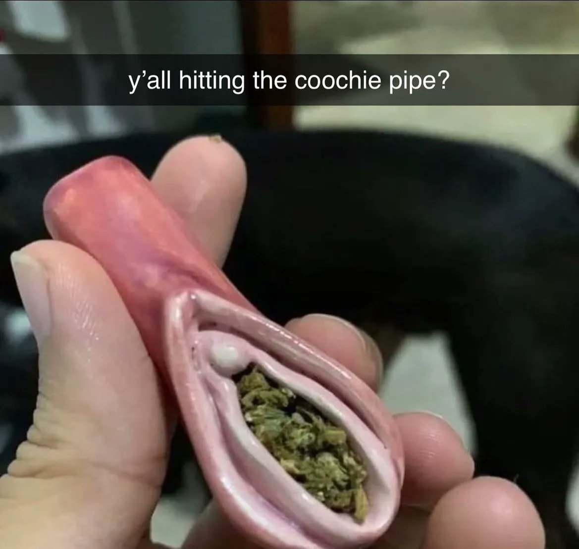 Stoner Chicks ™ tweet media