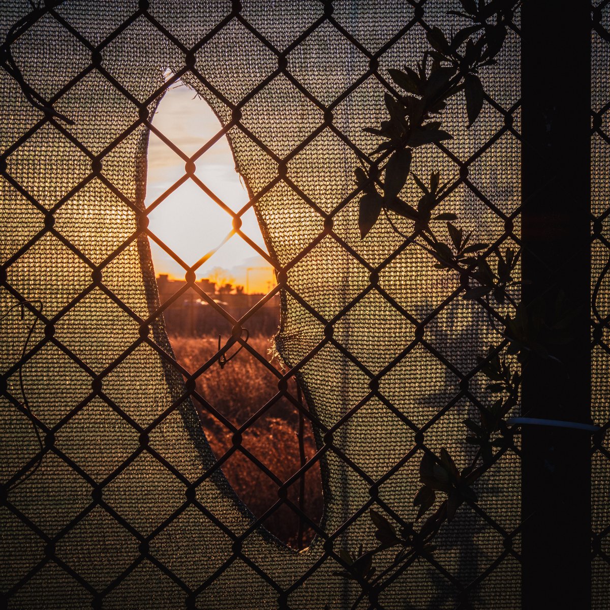 Adam Mistler tweet media