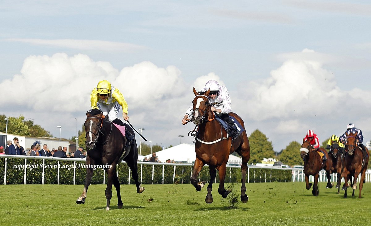 Steven_Cargill's tweet photo. 3rd win for gelding MAXIMILIAN CAESAR @SC_Cherchi in 10f 3yo handicap @DoncasterRaces today for @coolmorestud Holy Roman Emperor @MarcoBotti https://t.co/CIdvYsO5Rs