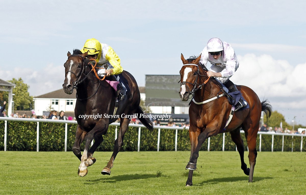 Steven_Cargill's tweet photo. 3rd win for gelding MAXIMILIAN CAESAR @SC_Cherchi in 10f 3yo handicap @DoncasterRaces today for @coolmorestud Holy Roman Emperor @MarcoBotti https://t.co/CIdvYsO5Rs